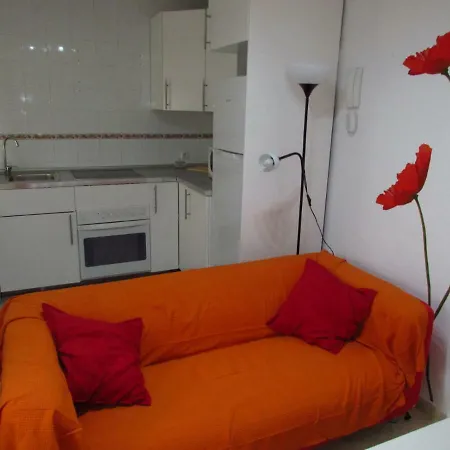 Mi Pequeno 加的斯